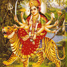 Profilbild von sunilkumar