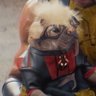 ⚔️cai⚔️ 🚒9-1-1 SPOILERS🚒 的头像