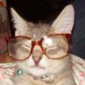julia's profile picture