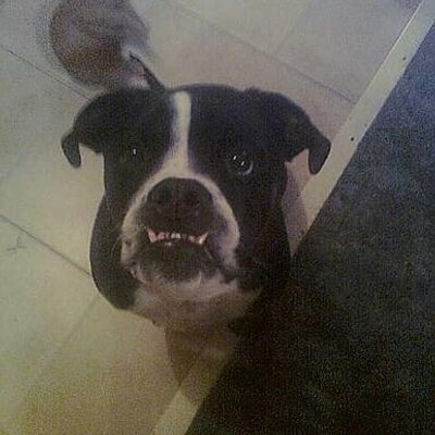 DillonMac123's profile picture