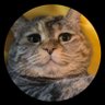 Profilbild von Korea119