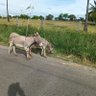 Iniyan kongu profil fotoğrafı
