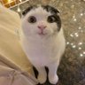 คนเหนือเสิ่นเจิ้น 的头像