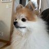 무근본 的头像