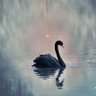 Фото профиля نُ