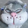 Profilbild von みーさん