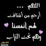 abu ali 的头像