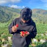 Mas Dino's profile picture