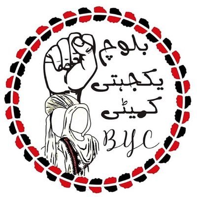 BYC - Karachi Zone's profile picture