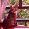Profilbild von eftalya