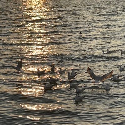 puppyzz121's profile picture