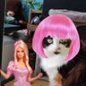 IVY profil fotoğrafı