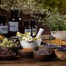 Фото профиля Traditional-Healer