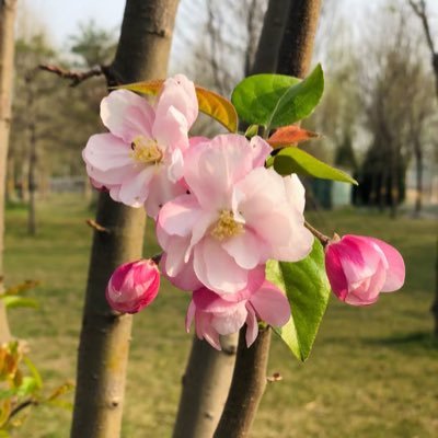 huanfq's profile picture