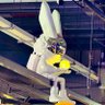 bunnyban's profile picture
