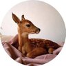 Profilbild von رِيم العُمري🦌🤎•