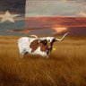 🇺🇸 Michelle 🇺🇸's profile picture
