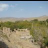 Фото профиля محسن