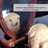 ErMentolao_NN profil fotoğrafı