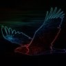 Фото профиля Kevin Sims