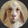 K I L O's profile picture