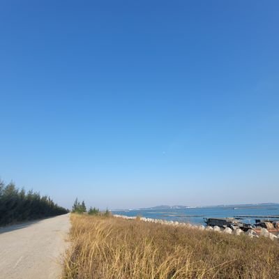 SetMy8's profile picture