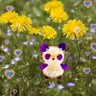 えり profil fotoğrafı