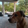 Derek's profile picture