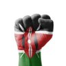 Фото профиля Kenyan Patriot