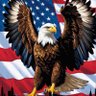 Rise Up's profile picture
