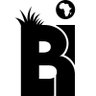 Bush Insight's profile picture