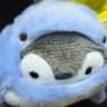 Profilbild von 淝