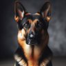 Фото профиля Jake Valentine