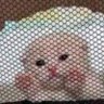 Mishin's profile picture