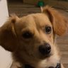 Beth W profil fotoğrafı