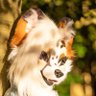 Profilbild von LunariFox 🔜 NFC