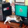 Lou profil fotoğrafı