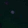 Se's profile picture