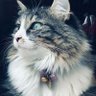 Profilbild von Carolina