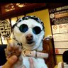 Фото профиля なちょす。