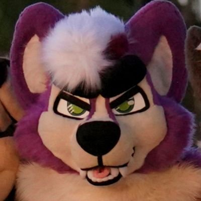SKiPPY @ AQF'25's profile picture