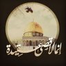 Nour A 的头像