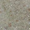 mt0204 的头像