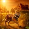 PharusOP profil fotoğrafı