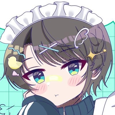 猫目黒猫*🐈‍⬛🚑's profile picture