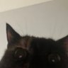So Zased profil fotoğrafı