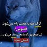 دانش's profile picture