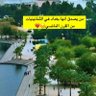 mohammed 的头像