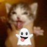 MoyRe ᦔ's profile picture