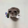 Profilbild von jCristopher